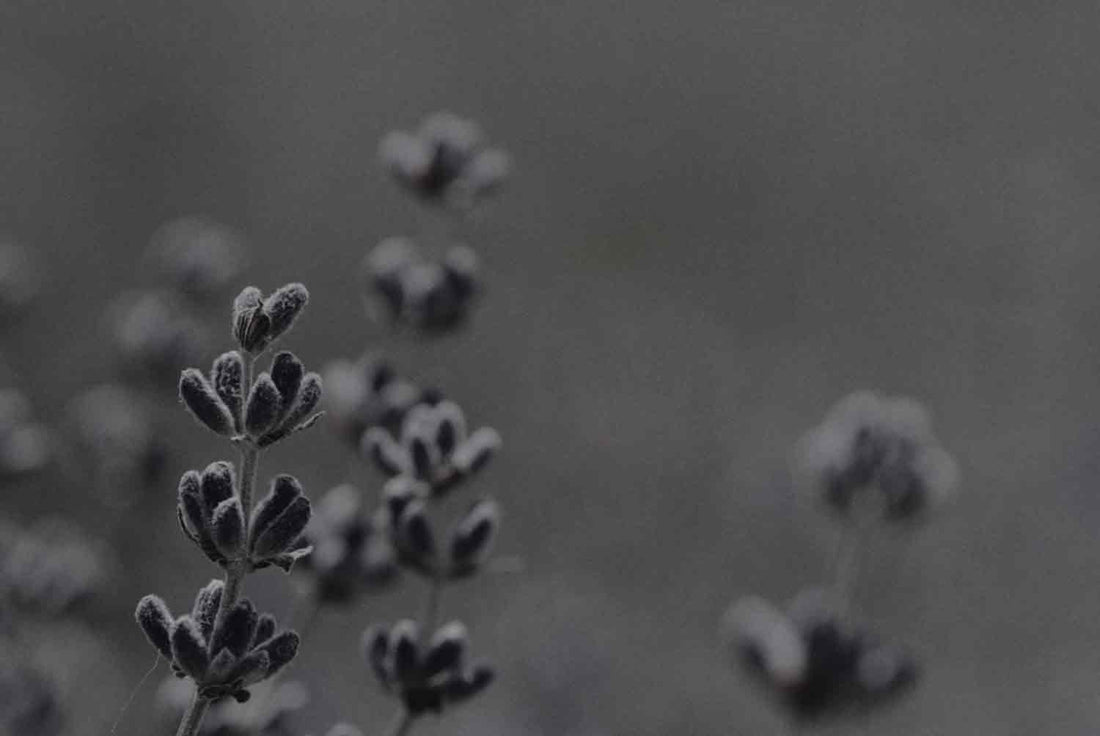 Linalool
