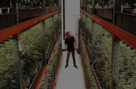 Lit Farms