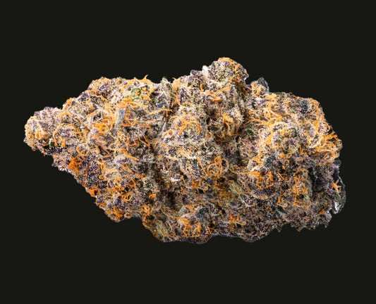 Bacio Gelato